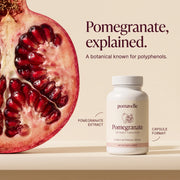 Pomegranate explained: a botanical known for polyphenols, in Pomavelle capsule format