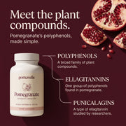 Pomegranate plant compounds: polyphenols, ellagitannins and punicalagins explained