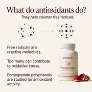 Antioxidant education: free radicals, oxidative stress and pomegranate polyphenol research