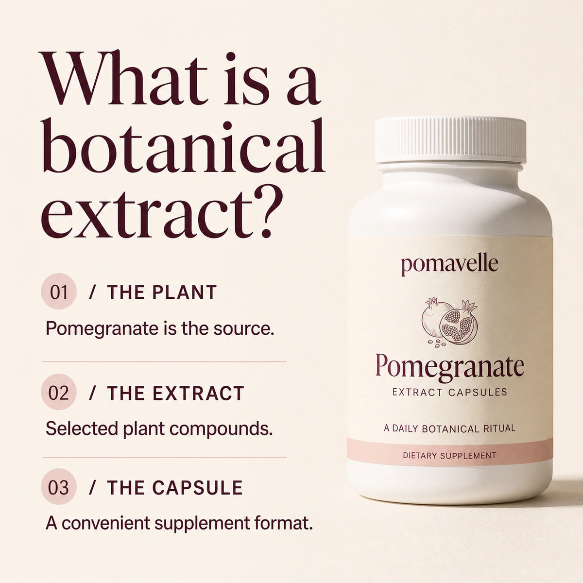 How a botanical extract differs from whole fruit and becomes a capsule format