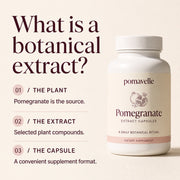 How a botanical extract differs from whole fruit and becomes a capsule format